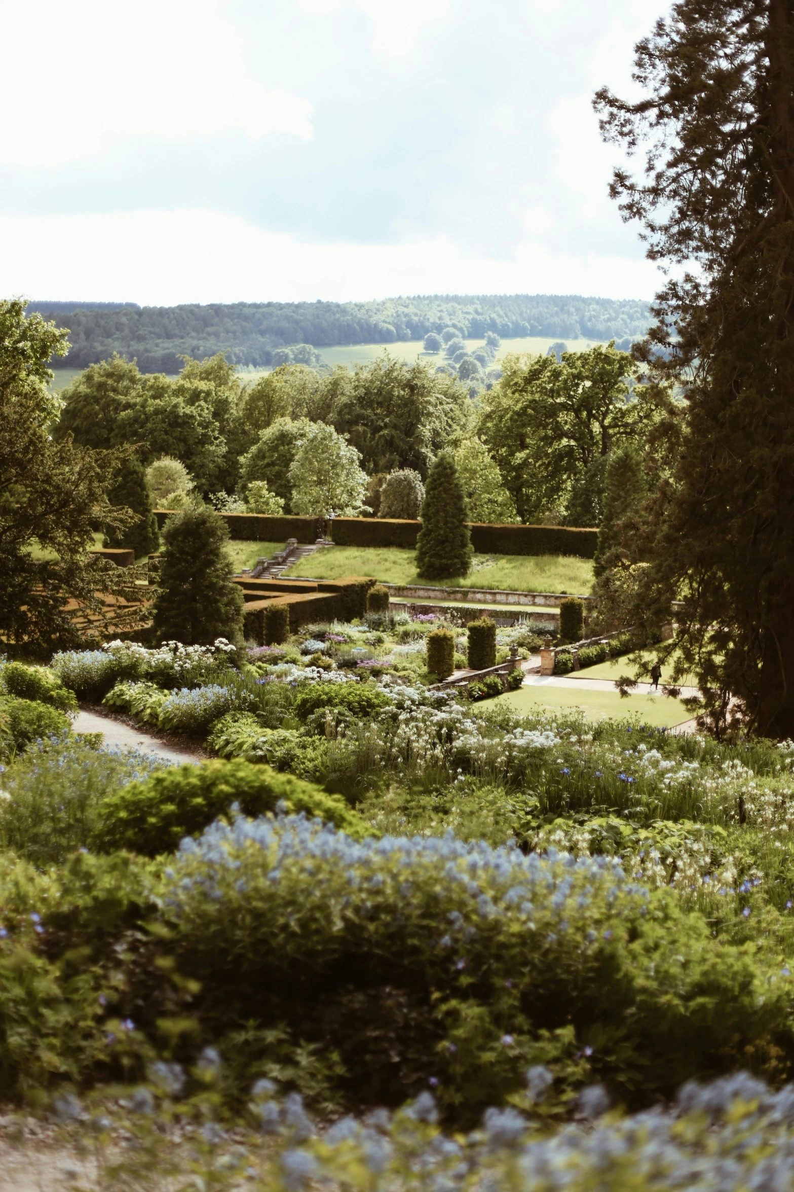 the large garden has many blue flowers near it