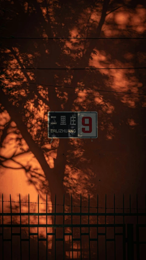 a sign posted to a wall with a tree casting shadows