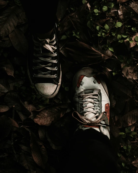 a pair of black and white sneakers standing on some green leaves