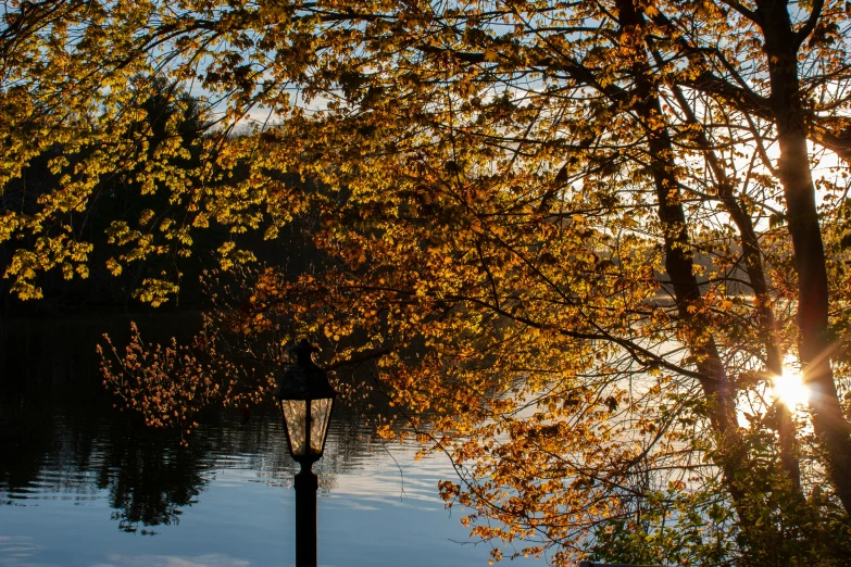 a lamp post sitting in front of a lake