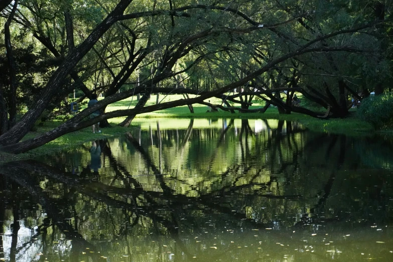 a lake that is surrounded by trees and water