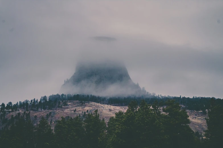 dark, misty mountain scene with pine trees