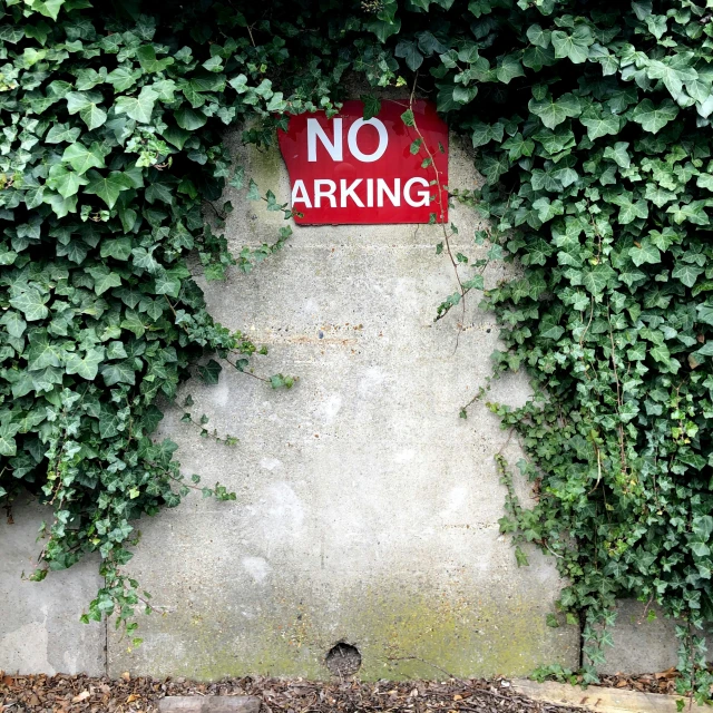 a sign that says no barking on a wall covered in vines