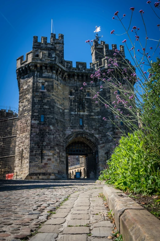 a brick bridge is on the side of a castle