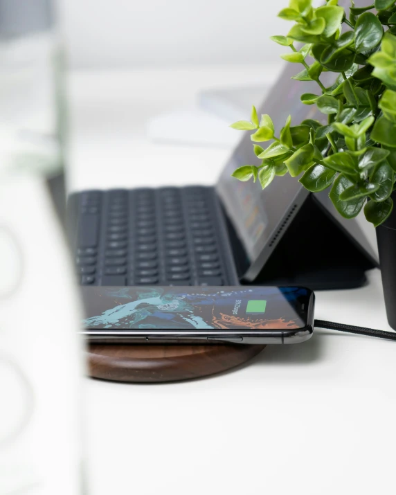 a black phone next to a laptop and a potted plant