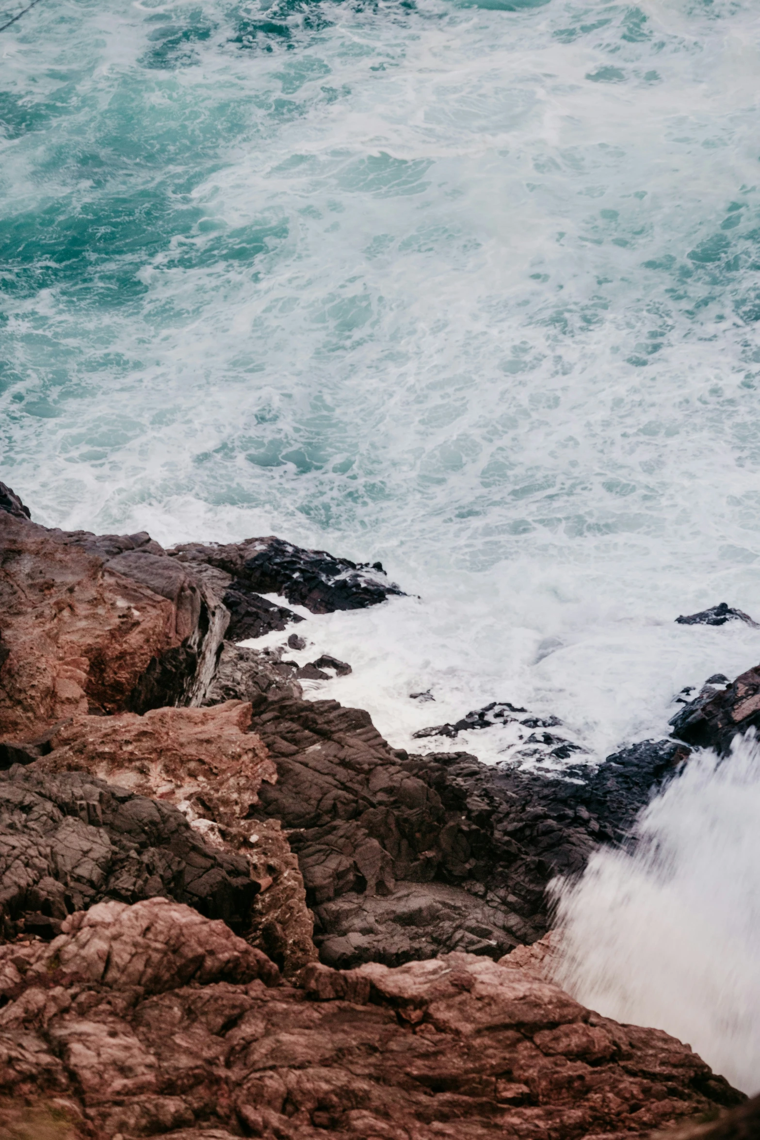 a lone bird on a rocky shore next to the ocean