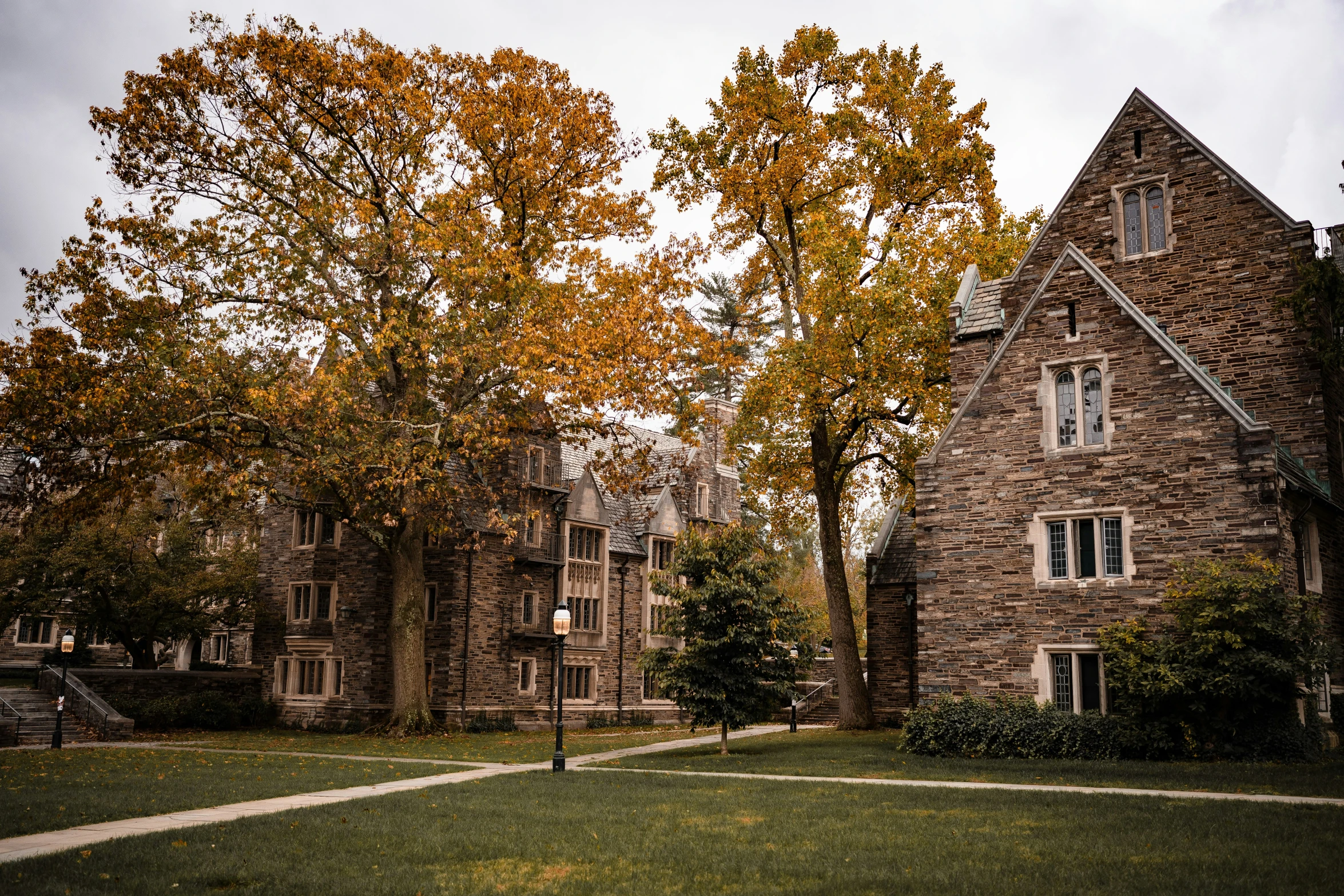 trees in autumn turning yellow to red along with the house