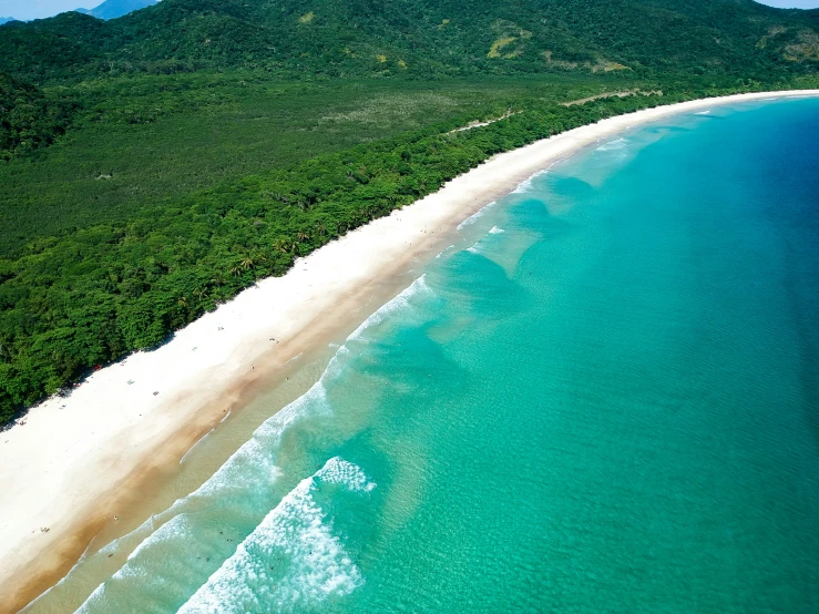 an aerial view of the beach, water and tropical vegetation