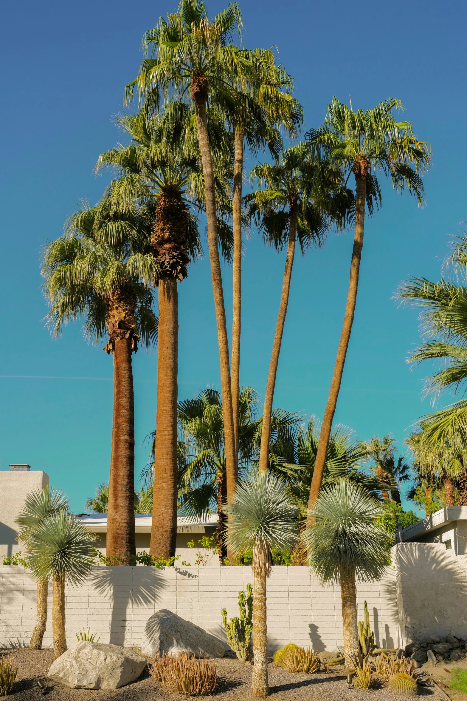 the trees are next to the building