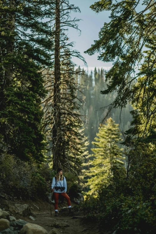 a hiker stands in the shade on the path