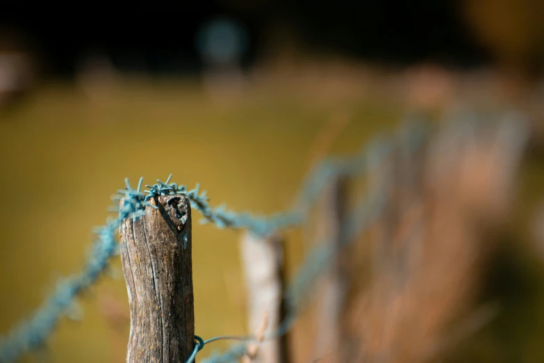 a stick is locked to some wood and chainlinks