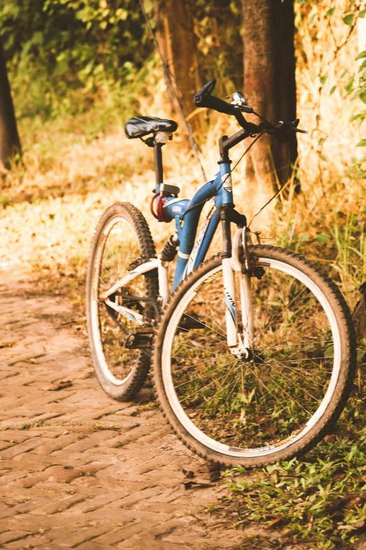 a bicycle is  to some trees on a trail