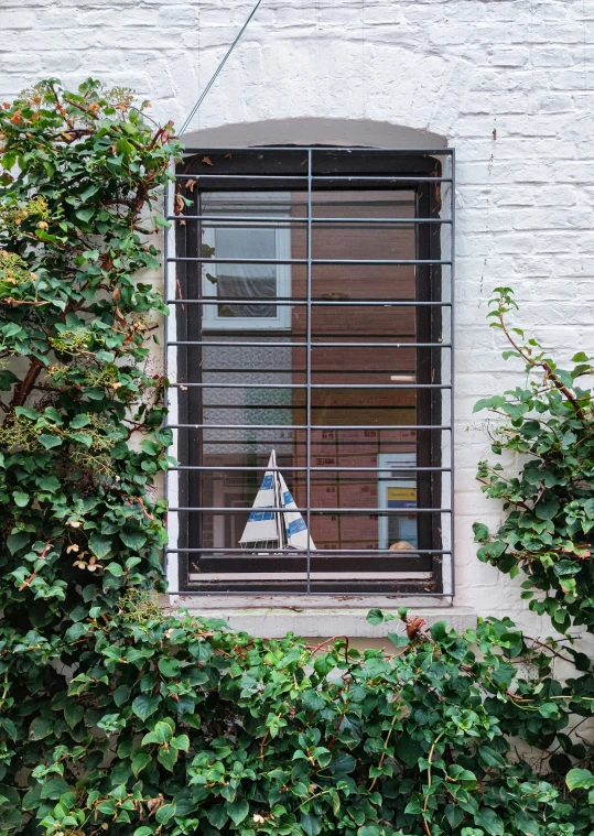 the window with the bars is covered in vines and leaves