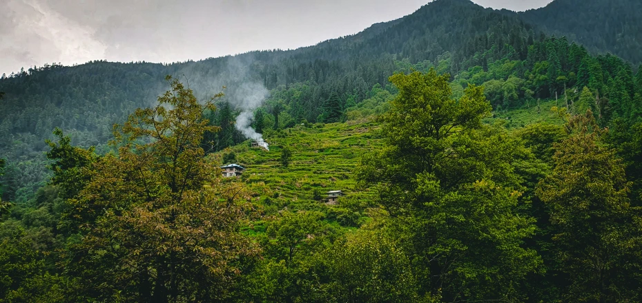 a train traveling along a lush green hillside