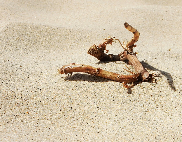 an old nch in the sand on a beach