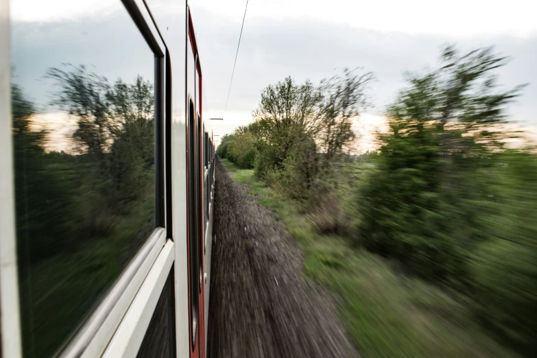 a train is speeding by a tree covered area