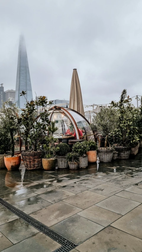 plants growing on top of the rooftop in front of a skyscr