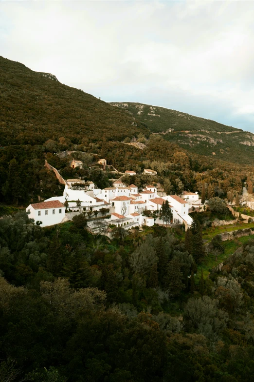 the old house is situated on the hill near the forest