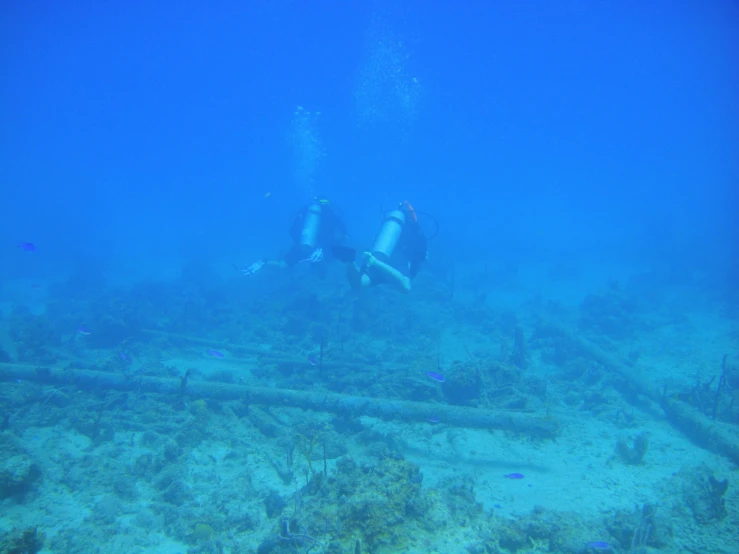 two divers in the ocean and coral reefs