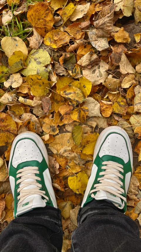 the shoes are green and white on the leaves