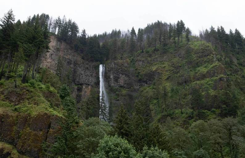 an image of the waterfall in the woods