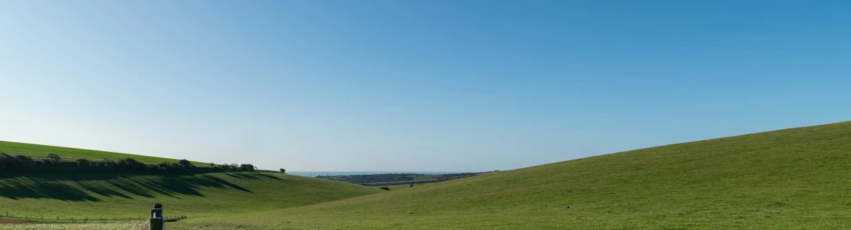 a grassy slope with trees and grass below it