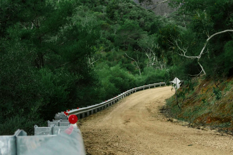 the road curves around a dirt road near trees