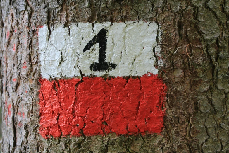 the number one is painted on a tree trunk