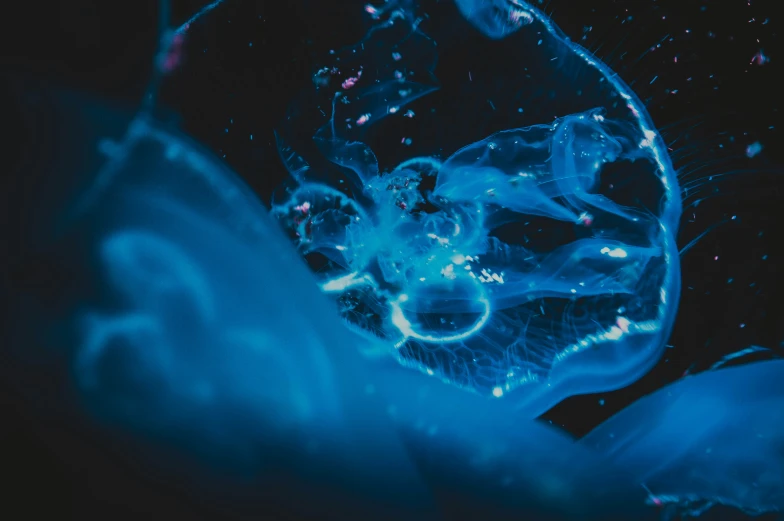 a blue liquid splashing through a glass cup