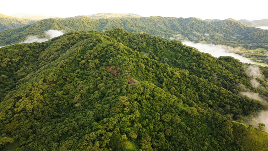 there is a hill that has many trees on it