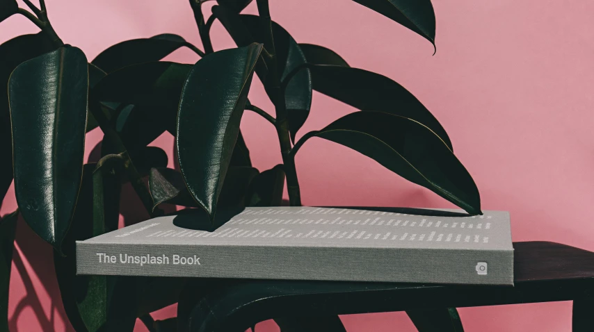 a book is sitting on the edge of a table next to a plant