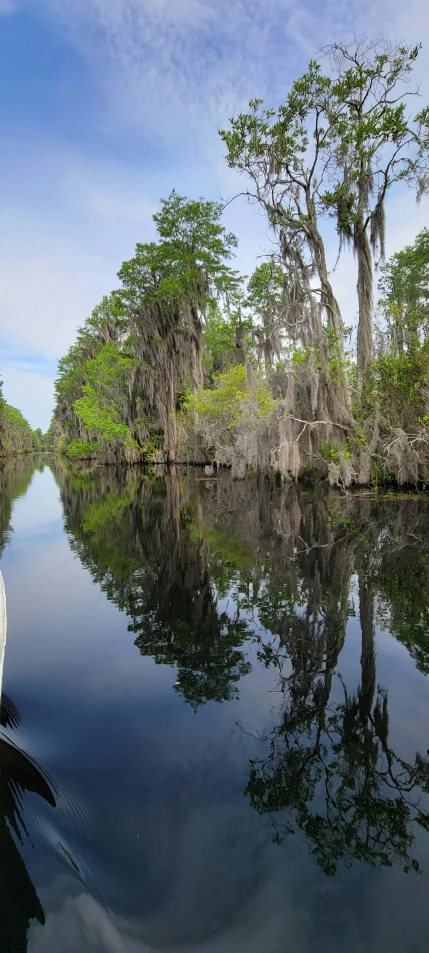 a river with trees along it and blue skies above