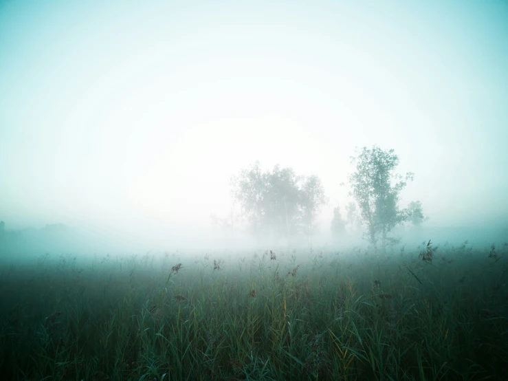 an image of the sky in the foggy field