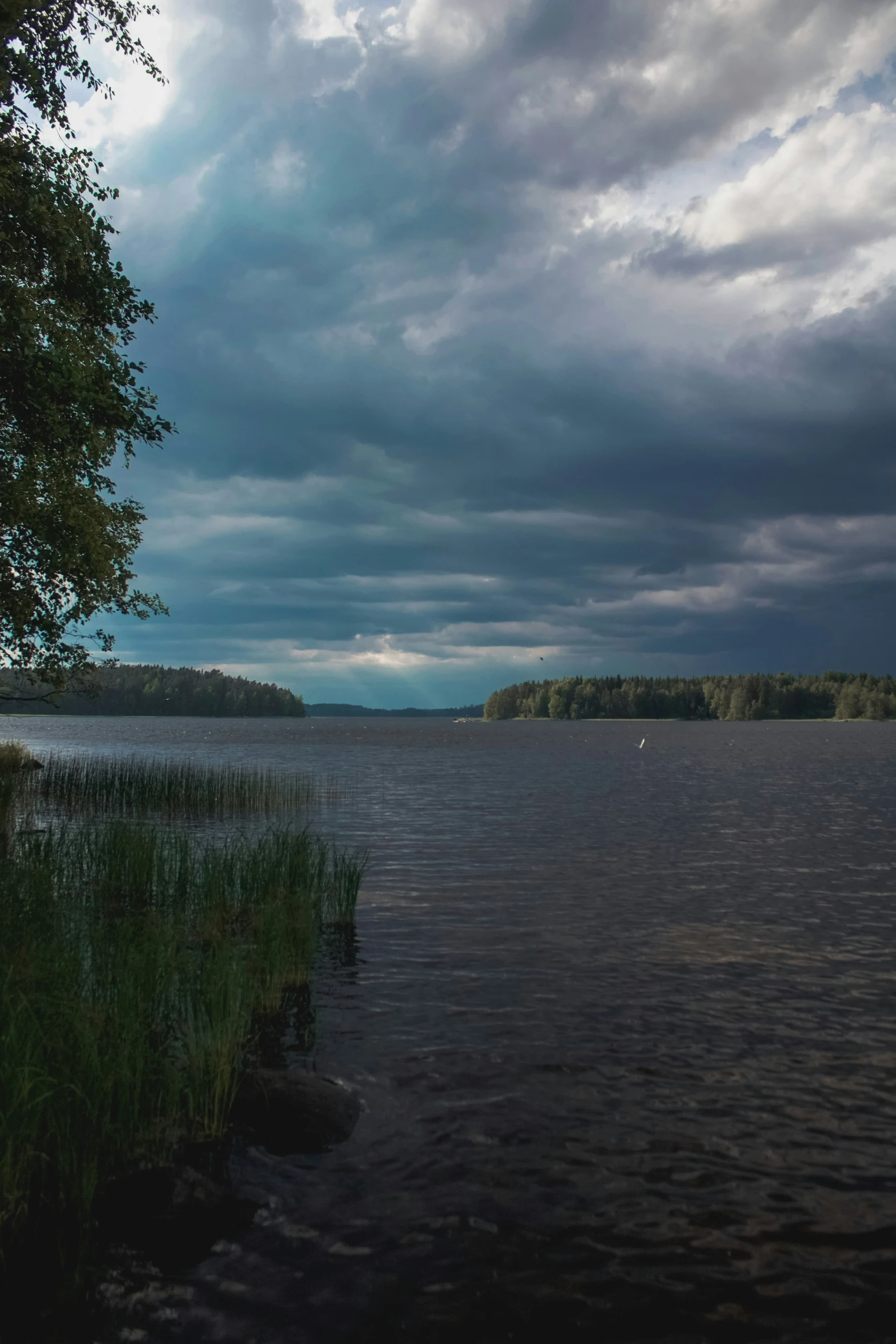 lake with trees and grass in foreground under cloudy sky