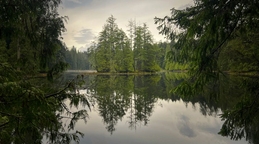 the landscape is mostly cloudy and has trees in it