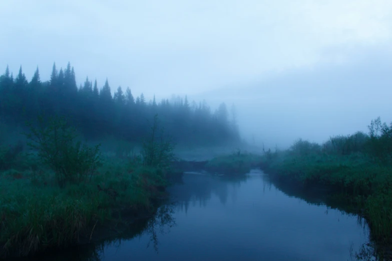 river in the fog with trees and grass on both sides