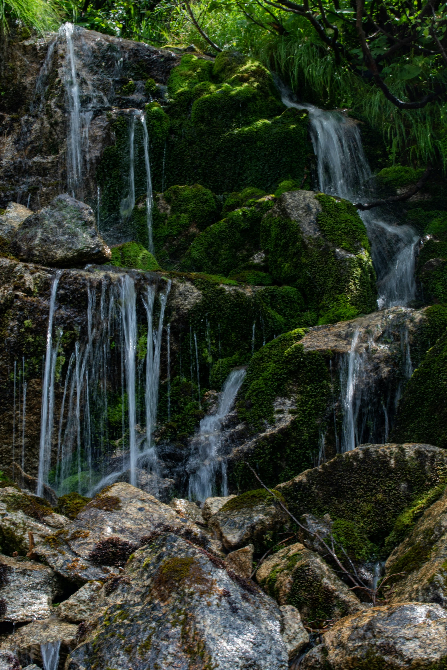 a lot of small waterfalls in the forest