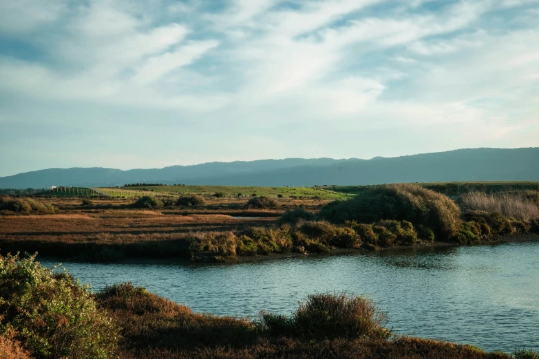 a large body of water surrounded by grass and bushes