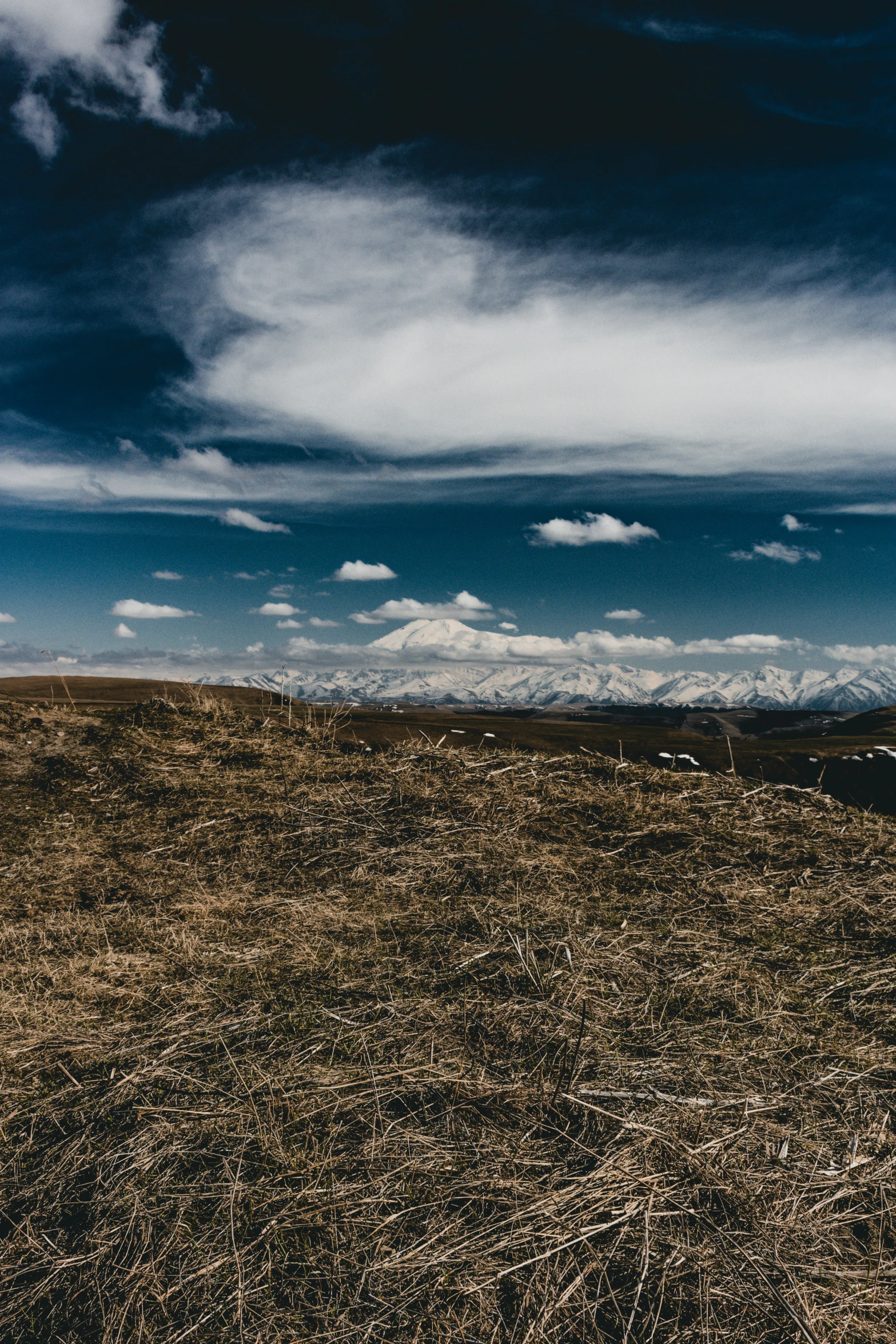 a lone horse stands in a field with many clouds