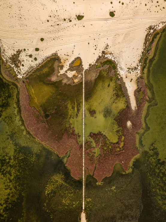 an aerial view of some grass, sand and some water