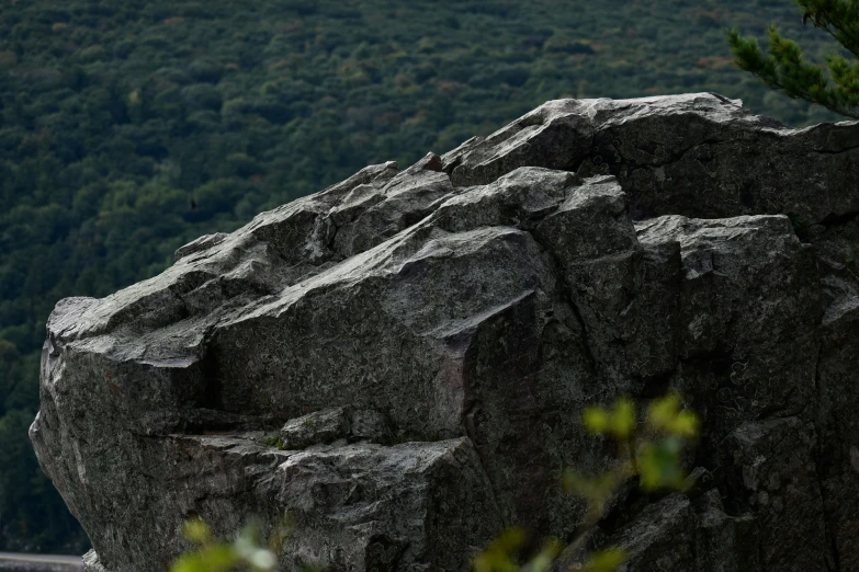 a close up of the back end of an rock