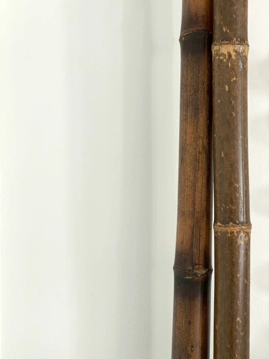 a pair of bamboo poles stand next to each other