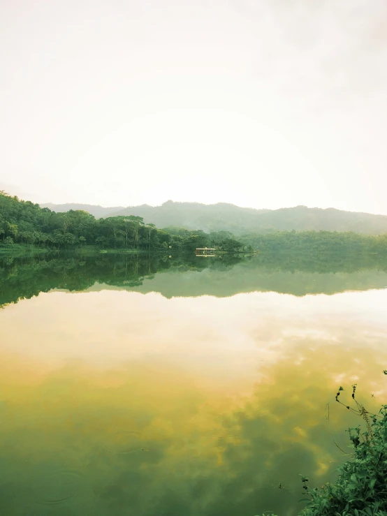 the water is serenely reflecting trees, and the sky