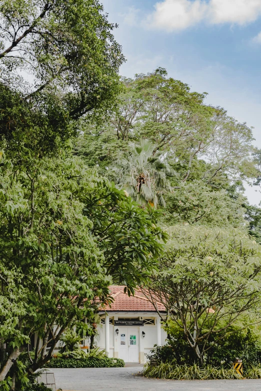 a white toilet in the middle of some trees