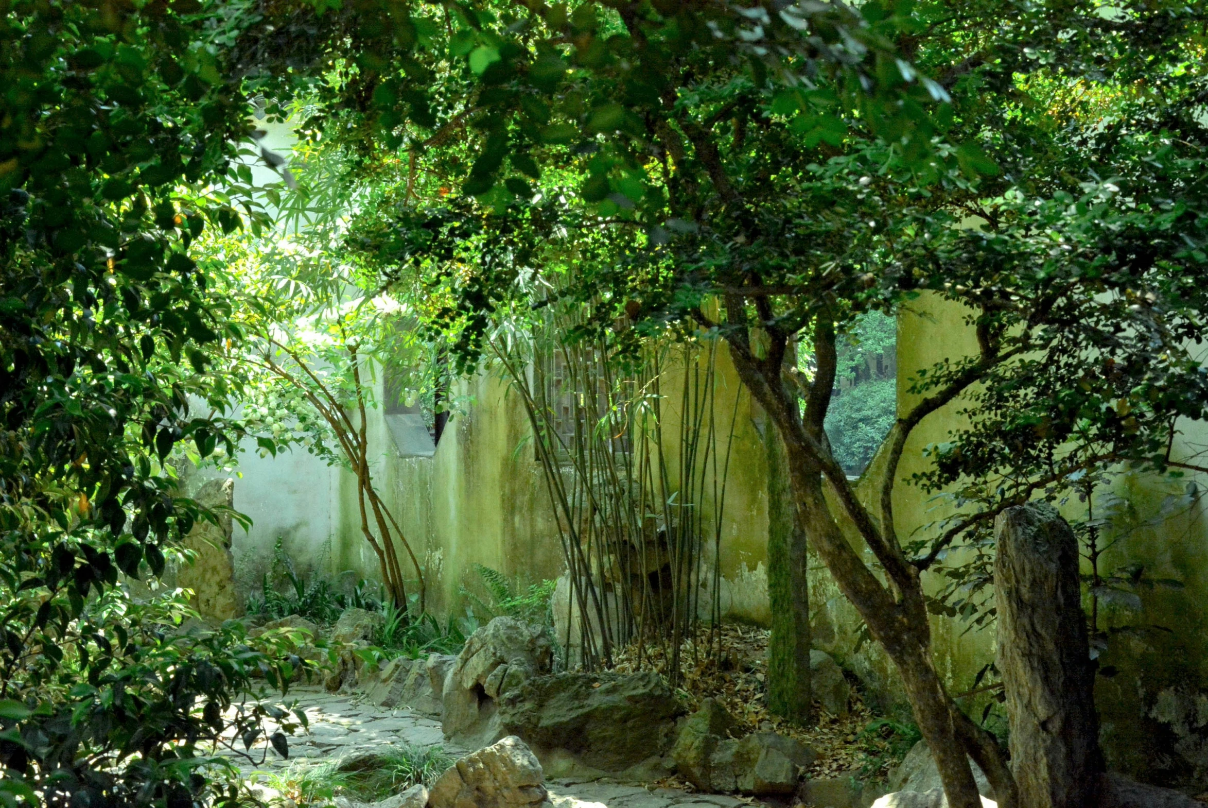 a stone pathway in a green jungle area