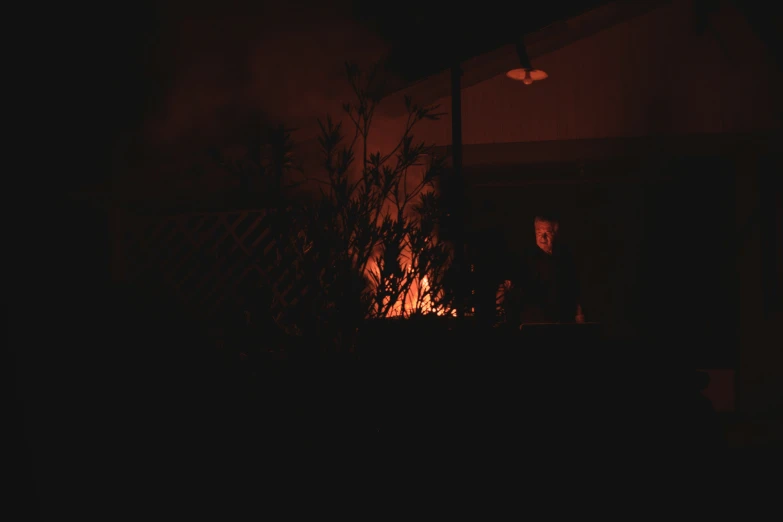 a person is standing by the house on a dark night
