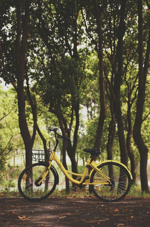 a yellow bike in the middle of the woods
