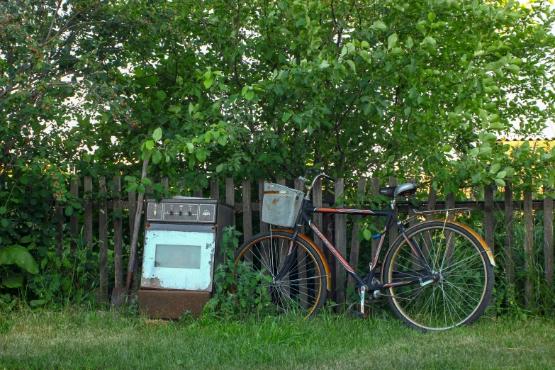 a rusty old bicycle parked in a small grassy yard