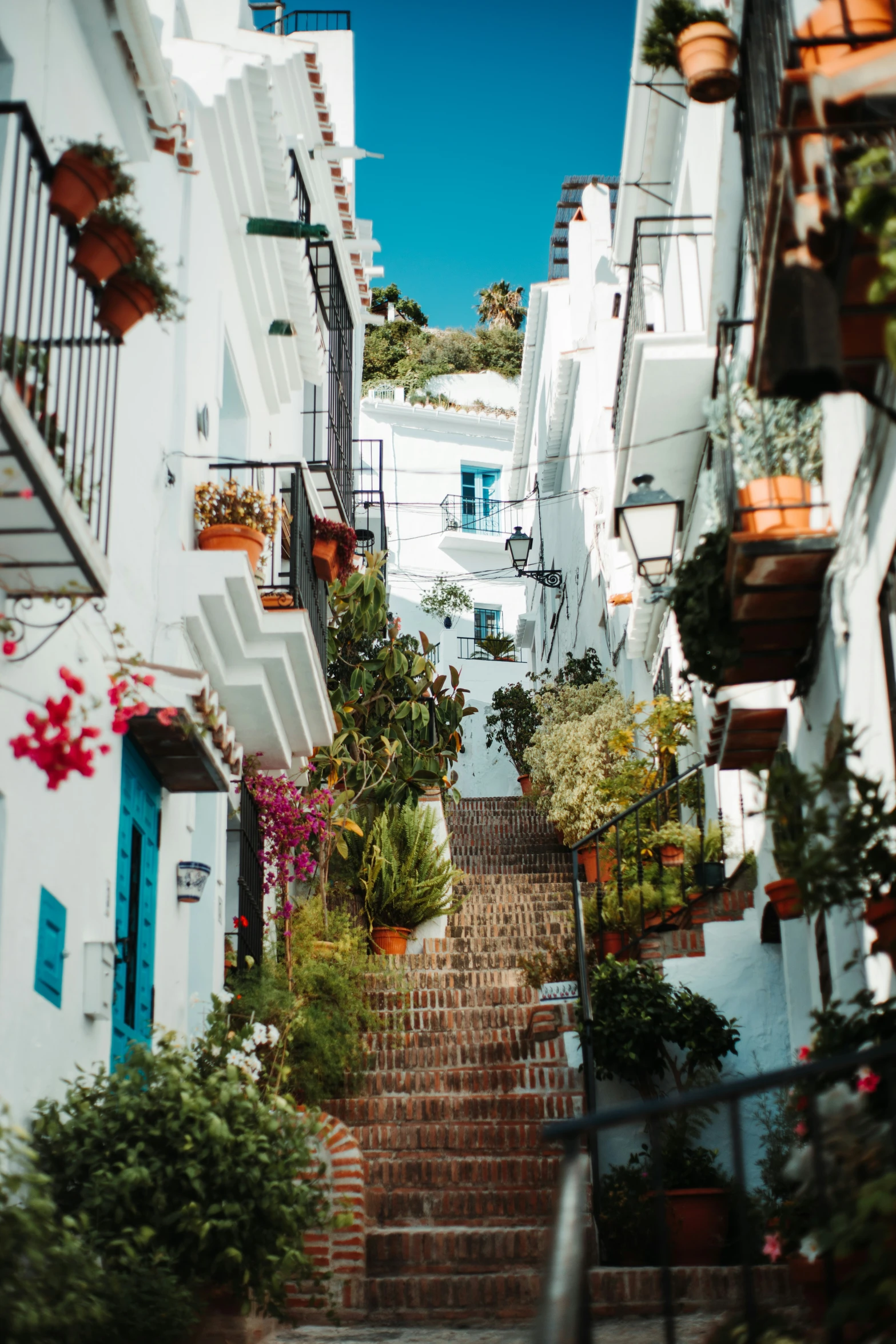 a narrow staircase covered in flowers is on a sunny day