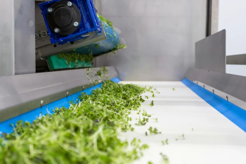 a close up of vegetables being put into a machine